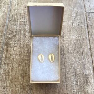 Cowrie Shell Gold Post Earrings